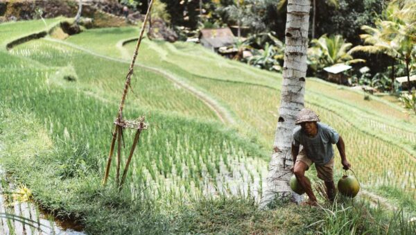 24 Remarkable Gift Ideas for Farmers to Cherish